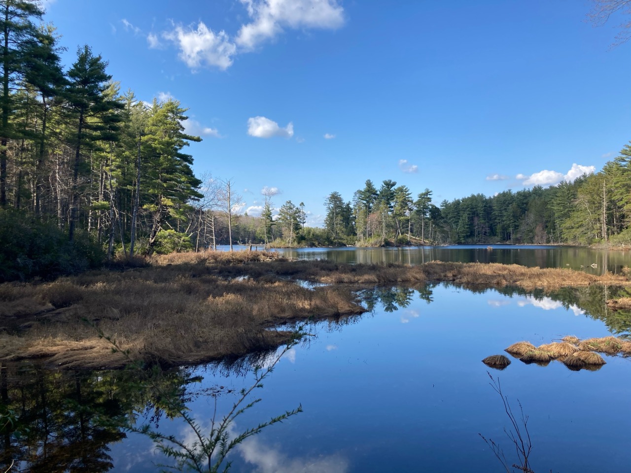 Breakneck Pond Loop Trail