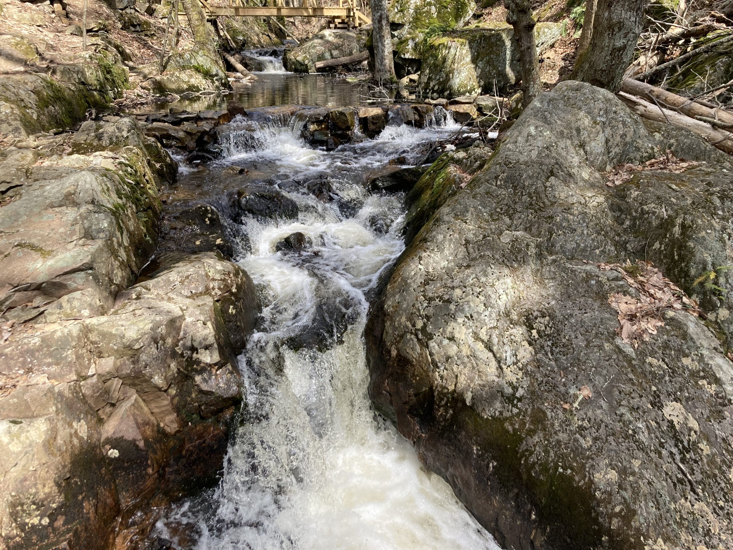 Narragansett Trail Part 2