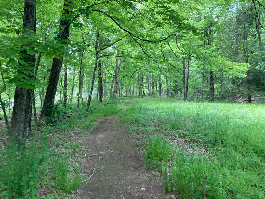 Scovill Loop Trail