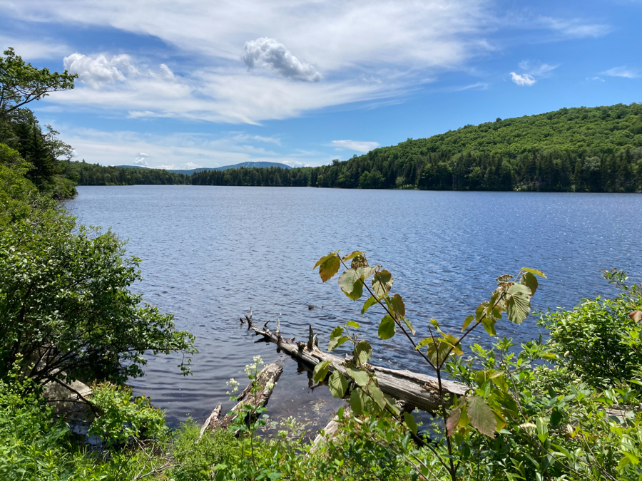 Grout Pond Loop Trail