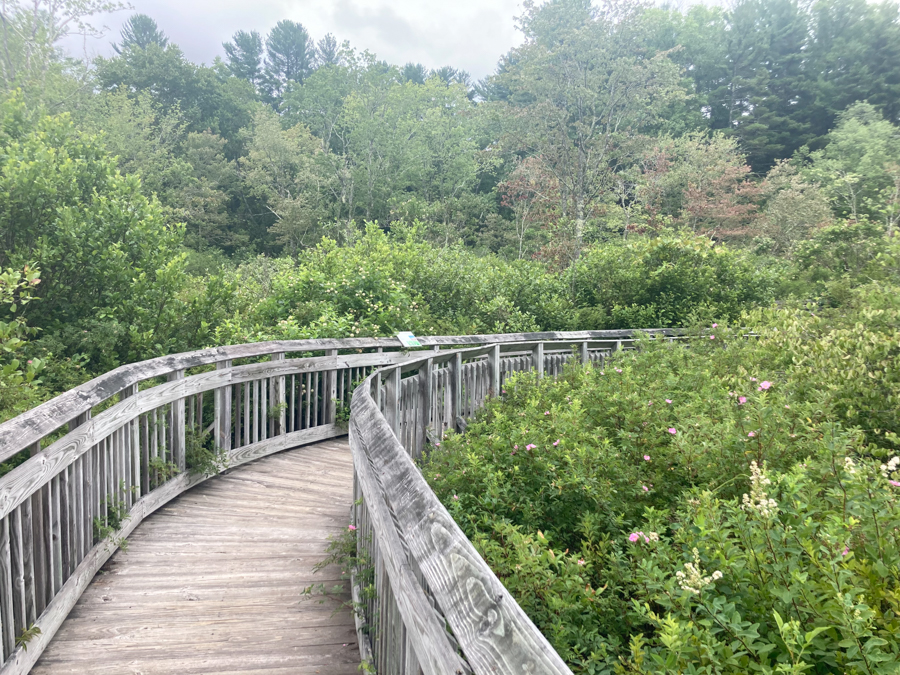 Chatfield Hollow State Park