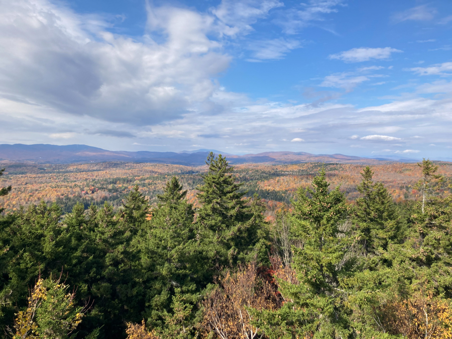 Mount Olga Fire Tower Trail