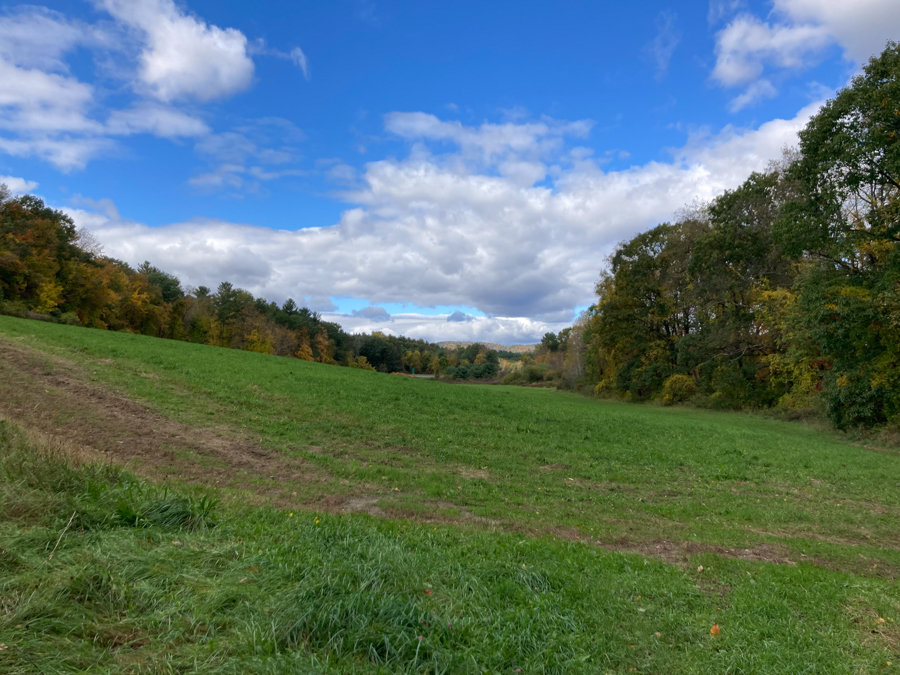 Grafton Cheese Farm Trails