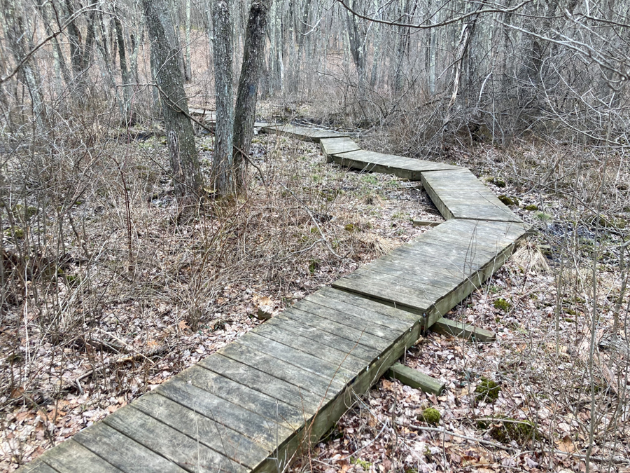 Finch Brook Trail