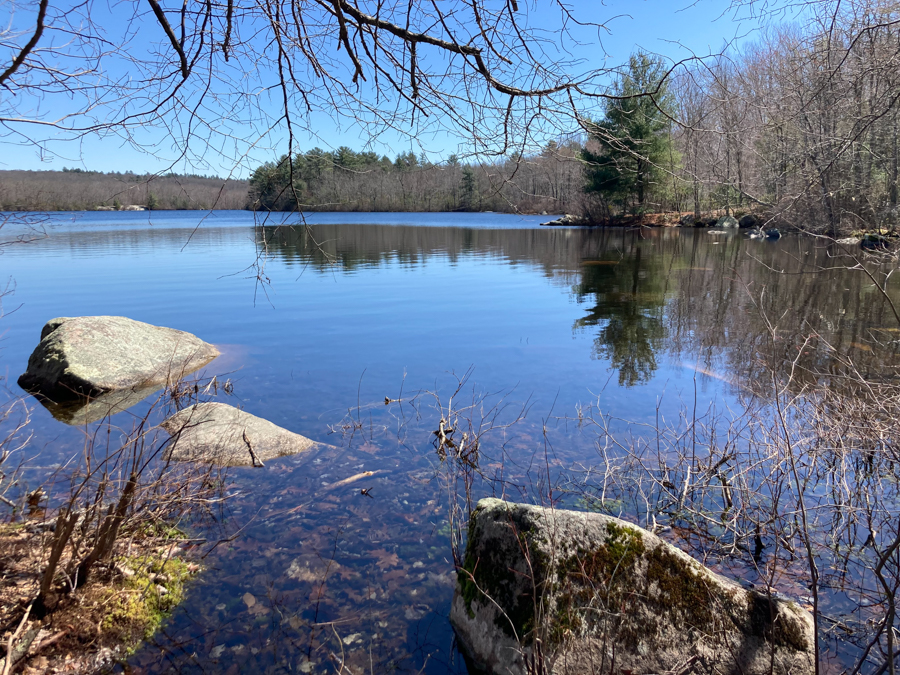 Long Pond Woods Trail