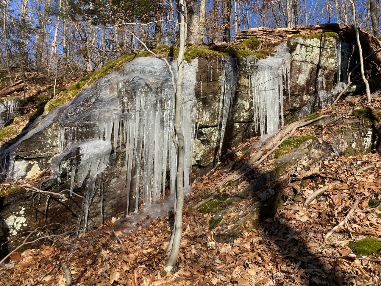 Day Pond State Park