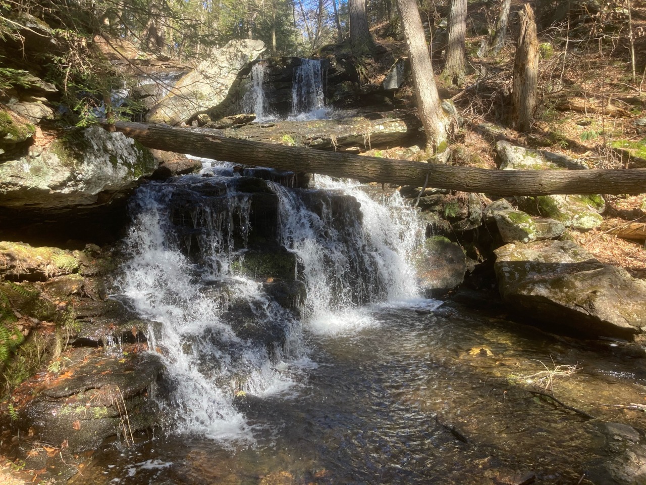 Salmon River Trail